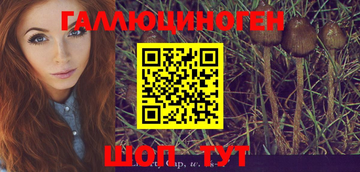 Псилоцибиновые грибы MAGIC MUSHROOMS  Псилоцибиновые грибы мицелий  Вход с VPN  Алексеевка 
