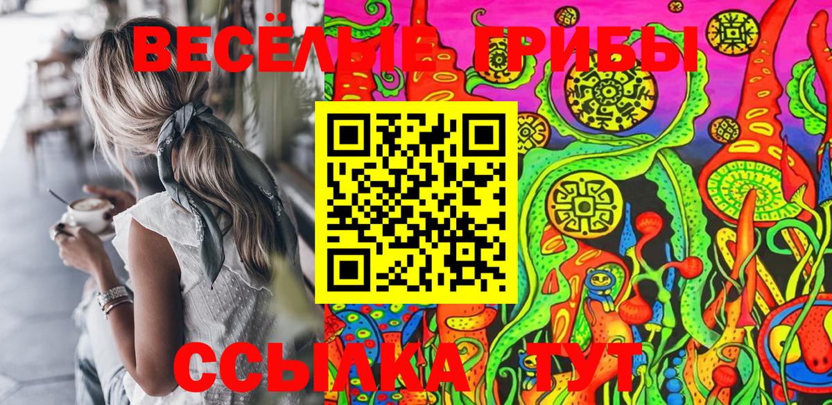 Лсд 25 Алексеевка