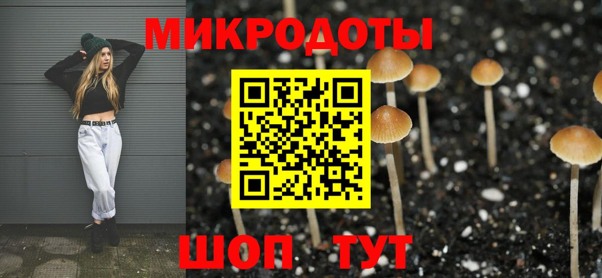 Галлюциногенные грибы Cubensis Алексеевка